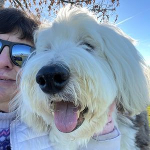 Meet your Posher, Carol